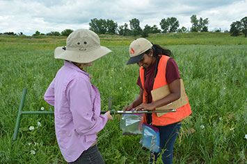 Two women looking at bags. Link to Life Stage Gift Planner Ages 60-70 Situations.