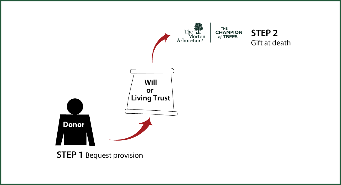 Gifts by Will Diagram. Description of image is listed below.