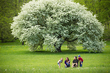 Family posing in front of a flowering tree. Link to Gifts of Appreciated Securities
