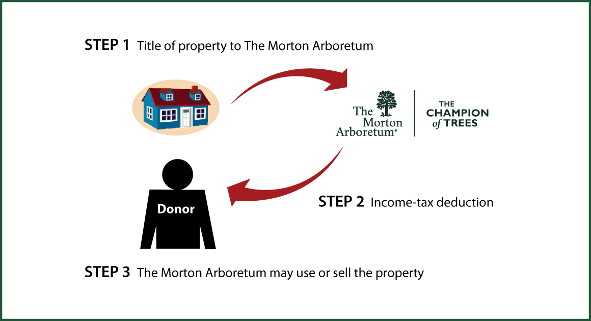 Outright Gift of Real Estate Thumbnail