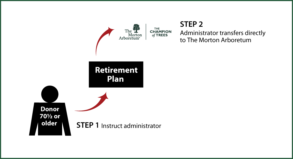 IRA Rollover Gifts (QCD) Thumbnail