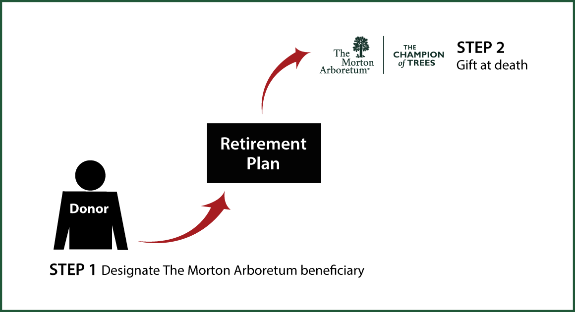 Gifts from Retirement Plans at Death Diagram. Description of image is listed below.