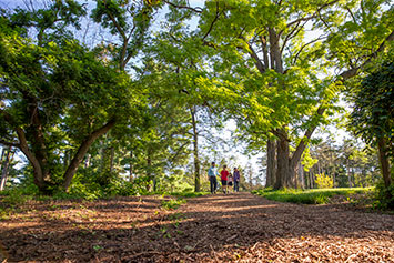 People walking through the arboretum. Link to Gifts That Pay You Income.