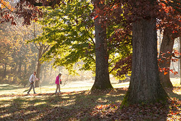 People walking through the arboretum. Link to Gifts by Will.