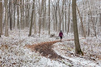 Winter at The Morton Arboretum. Link to Closely Held Business Stock